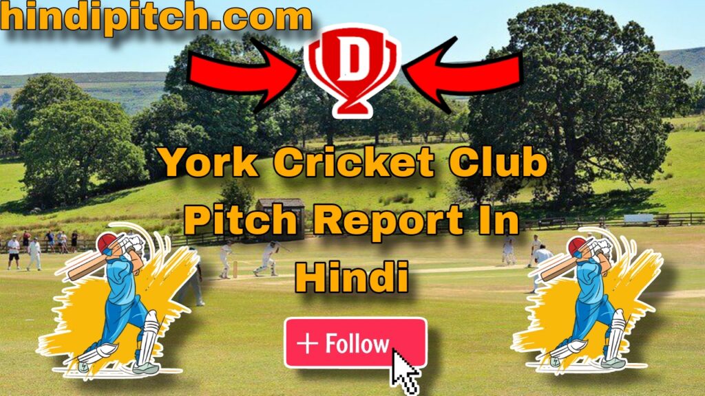 York Cricket Club Pitch Report In Hindi